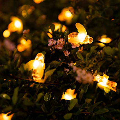 Cotcool Solar Bee String Lights 31Ft 50Led Fairy Lights (Warm White)